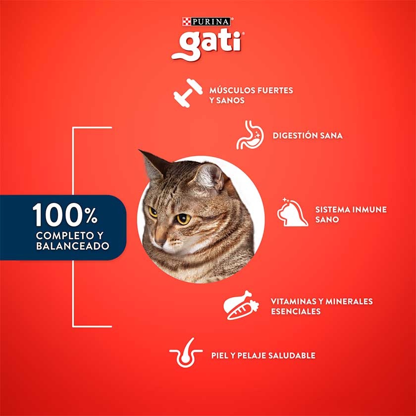 Alim.P/Gato Adulto Pescado y Salmon Gati 15 Kgr